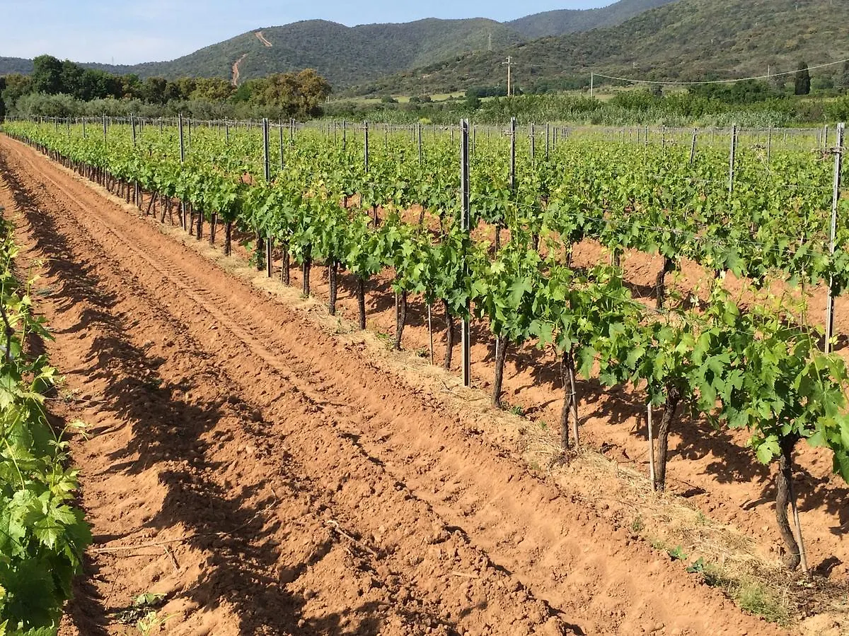 Agriturismo La Sassicaia Castiglione della Pescaia